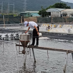 Tăng diện tích nuôi trồng thủy sản công nghệ cao